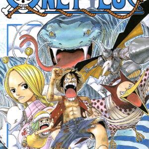 One Piece Comic
