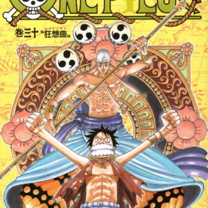 One Piece Comic