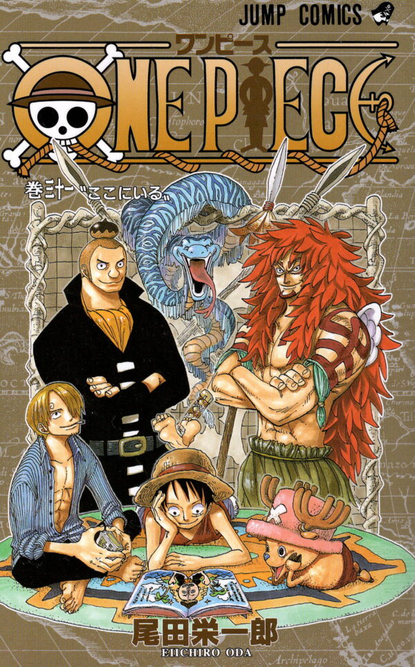 One Piece Comic